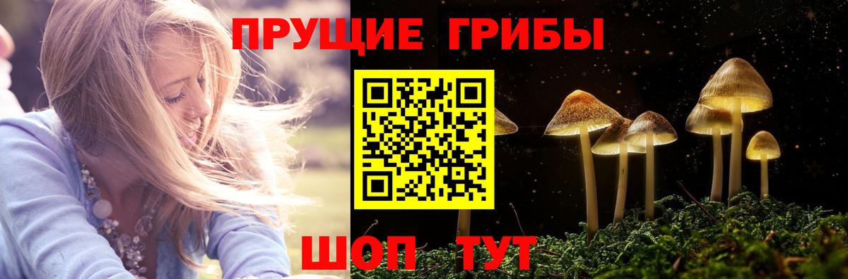 Галлюциногенные грибы ЛСД  Вход с VPN  Арзамас 